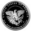 2005-W 1/10 oz Proof American Platinum Eagle (w/Box & COA)