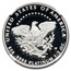 2005-W 1/2 oz Proof American Platinum Eagle PF-70 NGC (Castle)