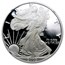 2005-W Proof American Silver Eagle PF-69 NGC (Retro Black Insert)