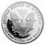 2005-W Proof American Silver Eagle PR-69 PCGS