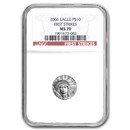 2006 1/10 oz American Platinum Eagle MS-70 NGC (First Strikes)