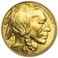 2006 1 oz Gold Buffalo MS-70 NGC (Inaugural Label)