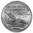 2006 4-Coin American Platinum Eagle Set MS-70 NGC