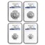 2006 4-Coin Platinum Eagle Set MS-70 NGC (Early Releases)