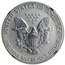 2006-P 1 oz Reverse Proof Silver Eagle (Capsule Only)
