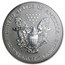 2006-P Reverse Proof Silver Eagle PF-69 NGC (20th Anniv)