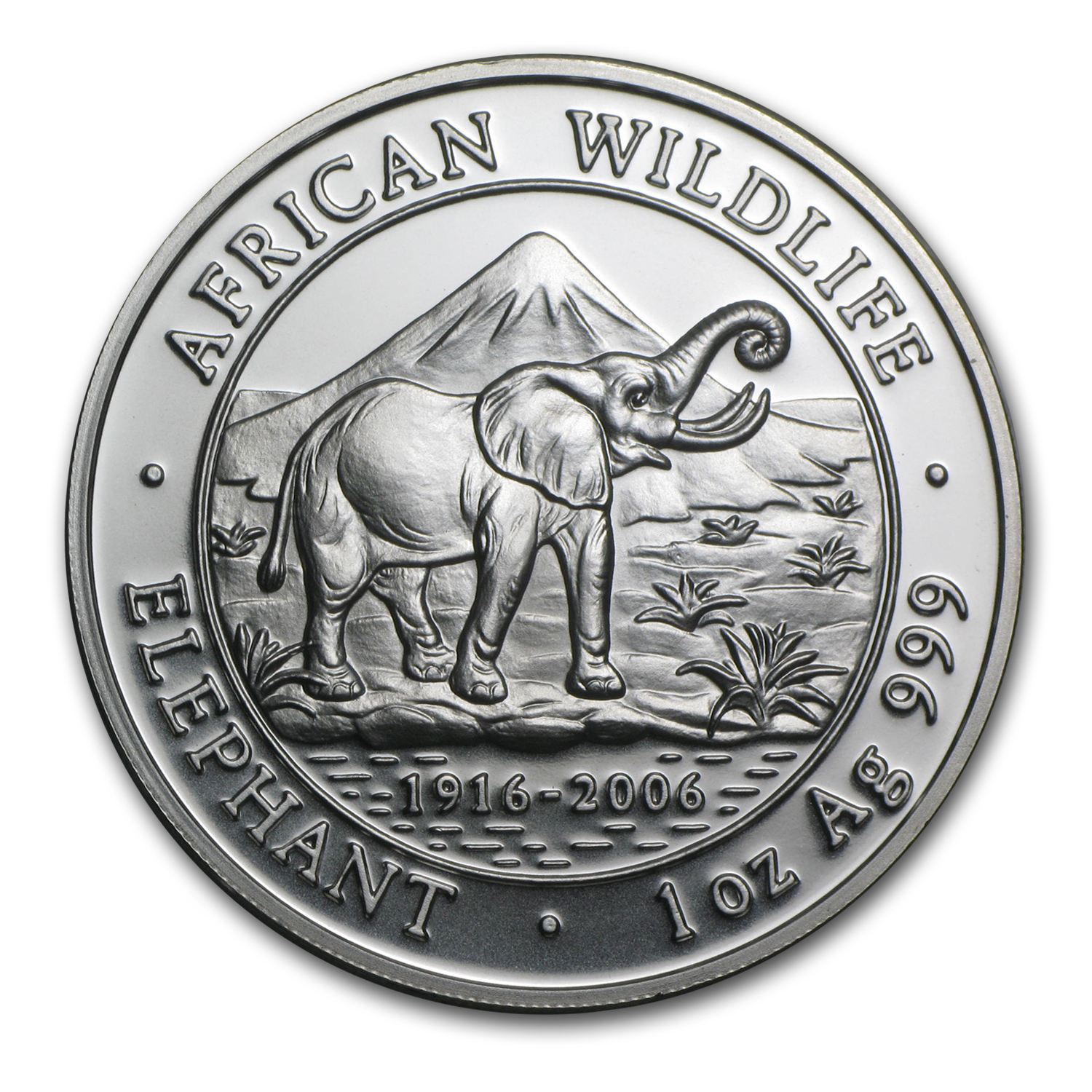 Buy 2006 Somalia 1 oz Silver Elephant BU | APMEX