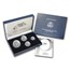 2006-W 4-Coin Burnished American Platinum Eagle Set (w/Box & COA)