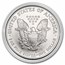 2006-W Burnished American Silver Eagle (Capsule Only)