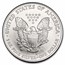 2006-W Burnished American Silver Eagle (Capsule Only)