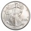 2006-W Burnished American Silver Eagle (Capsule Only)