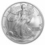 2006-W Burnished American Silver Eagle MS-69 NGC (Black Label)