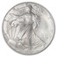 2006-W Burnished American Silver Eagle MS-69 NGC (ER)