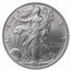 2006-W Burnished American Silver Eagle MS-69 NGC