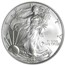 2006-W Burnished American Silver Eagle MS-69 PCGS