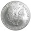 2006-W Burnished American Silver Eagle MS-69 PCGS