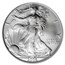 2006-W Burnished American Silver Eagle MS-70 NGC