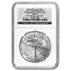2006-W Burnished Silver Eagle MS-70 NGC (Silver Dollar Set)