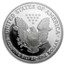 2006-W Proof American Silver Eagle PF-69 NGC (20th Anniv)