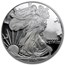 2006-W Proof American Silver Eagle PF-70 NGC (FS)