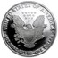 2006-W Proof American Silver Eagle PF-70 NGC (FS)