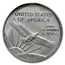 2007 1/10 oz American Platinum Eagle BU
