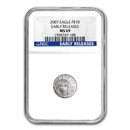2007 1/10 oz American Platinum Eagle MS-69 NGC (Early Releases) 2007 1/10 oz American Platinum Eagle MS-69 NGC (Early Releases)