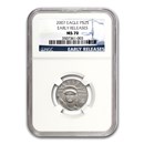 2007 1/4 oz American Platinum Eagle MS-70 NGC (Early Releases)