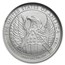 2007-W 1/10 oz Burnished American Platinum Eagle MS-70 NGC (ER)
