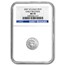 2007-W 1/10 oz Burnished American Platinum Eagle MS-70 NGC (ER)
