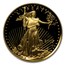 2007-W 1/10 oz Proof American Gold Eagle PF-70 NGC (ER)