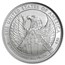 2007-W 1/2 oz Burnished American Platinum Eagle MS-70 NGC (ER)