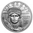 2007-W 1/2 oz Burnished American Platinum Eagle (w/Box & COA)