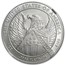2007-W 1 oz Burnished American Platinum Eagle MS-70 NGC