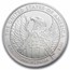 2007-W 1 oz Burnished American Platinum Eagle MS-70 PCGS
