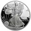 2007-W 1 oz Proof American Silver Eagle (w/Box & COA)