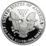 2007-W 1 oz Proof American Silver Eagle (w/Box & COA)