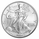 2007-W Burnished American Silver Eagle (Capsule Only)