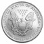 2007-W Burnished American Silver Eagle (Capsule Only)