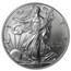 2007-W Burnished American Silver Eagle MS-69 NGC (ER)