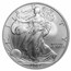 2007-W Burnished American Silver Eagle MS-70 NGC (ER)