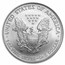 2007-W Burnished American Silver Eagle MS-70 NGC (ER)