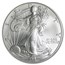 2007-W Burnished American Silver Eagle MS/SP-70 PCGS