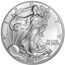 2007-W Burnished American Silver Eagle (w/Box & COA)
