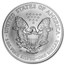 2007-W Burnished American Silver Eagle (w/Box & COA)