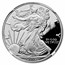 2007-W Proof American Silver Eagle PF-69 NGC