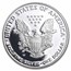 2007-W Proof American Silver Eagle PF-69 NGC