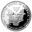 2007-W Proof American Silver Eagle PF-69 NGC