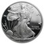 2007-W Proof American Silver Eagle PF-70 NGC (ER)