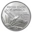 2008 1/4 oz American Platinum Eagle MS-70 PCGS